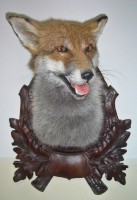 /album/fotogalerie-podlozky-pod-trofeje-preparaty/li128-jpg1/